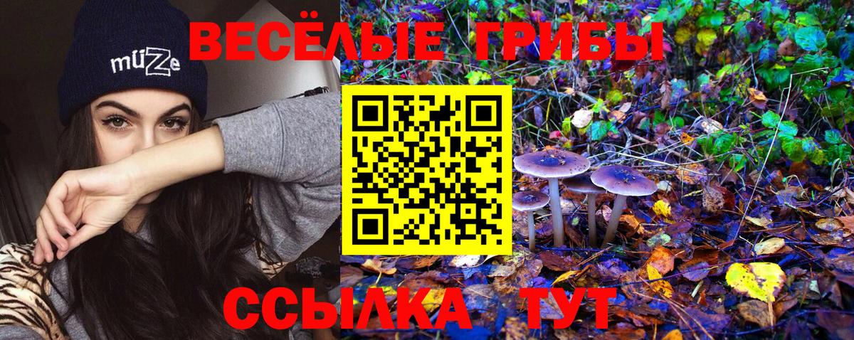 Псилоцибиновые грибы мицелий  Вход с VPN  Лабинск 