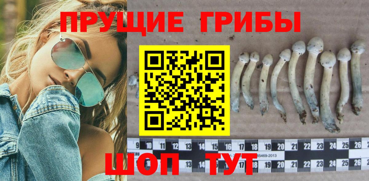 Галлюциногенные грибы GOLDEN TEACHER Лабинск